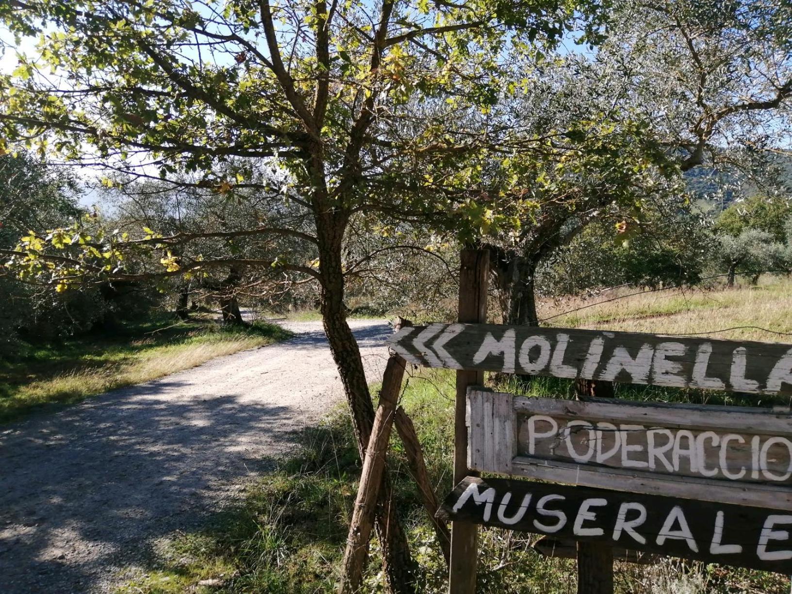 I Casali Di Colle San Paolo Villa Tavernelle  Exterior foto