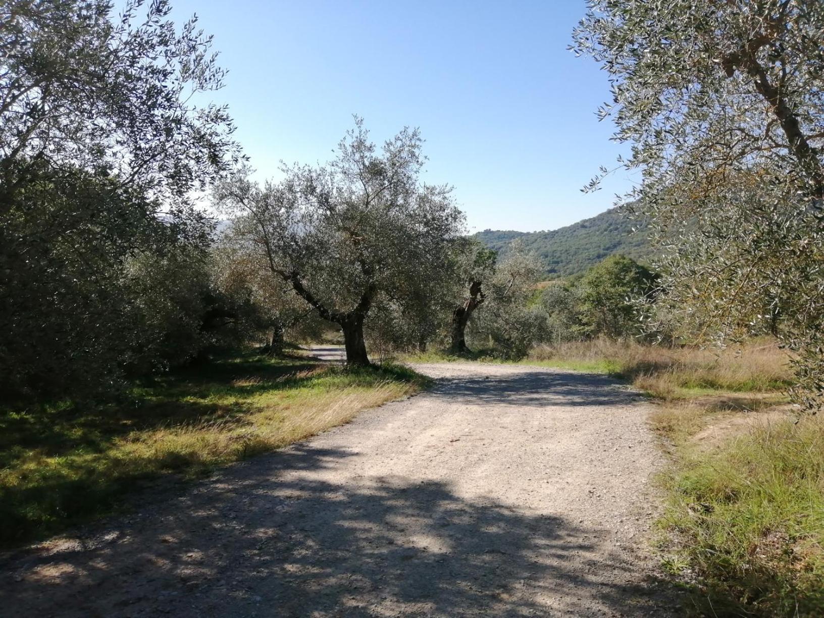 I Casali Di Colle San Paolo Villa Tavernelle  Exterior foto